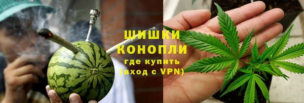 ГАЛЛЮЦИНОГЕННЫЕ ГРИБЫ Балахна