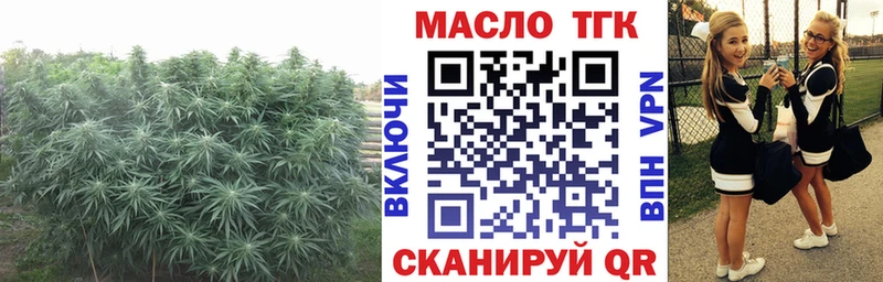Дистиллят ТГК THC oil  гидра рабочий сайт  Кондрово 