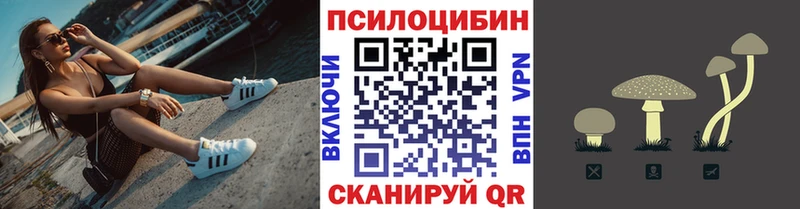 мега зеркало  сайты даркнета наркотические препараты  Псилоцибиновые грибы Psilocybine cubensis  Кондрово 